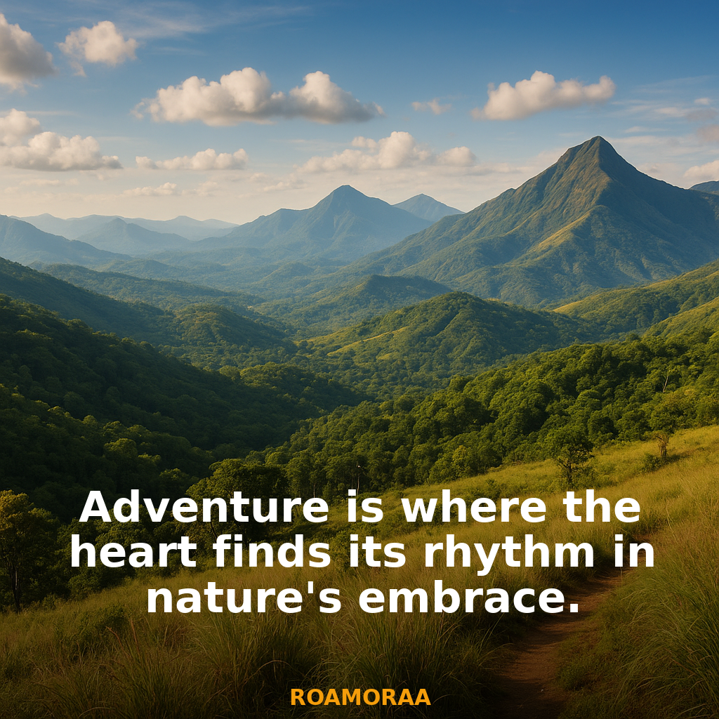 Quote
