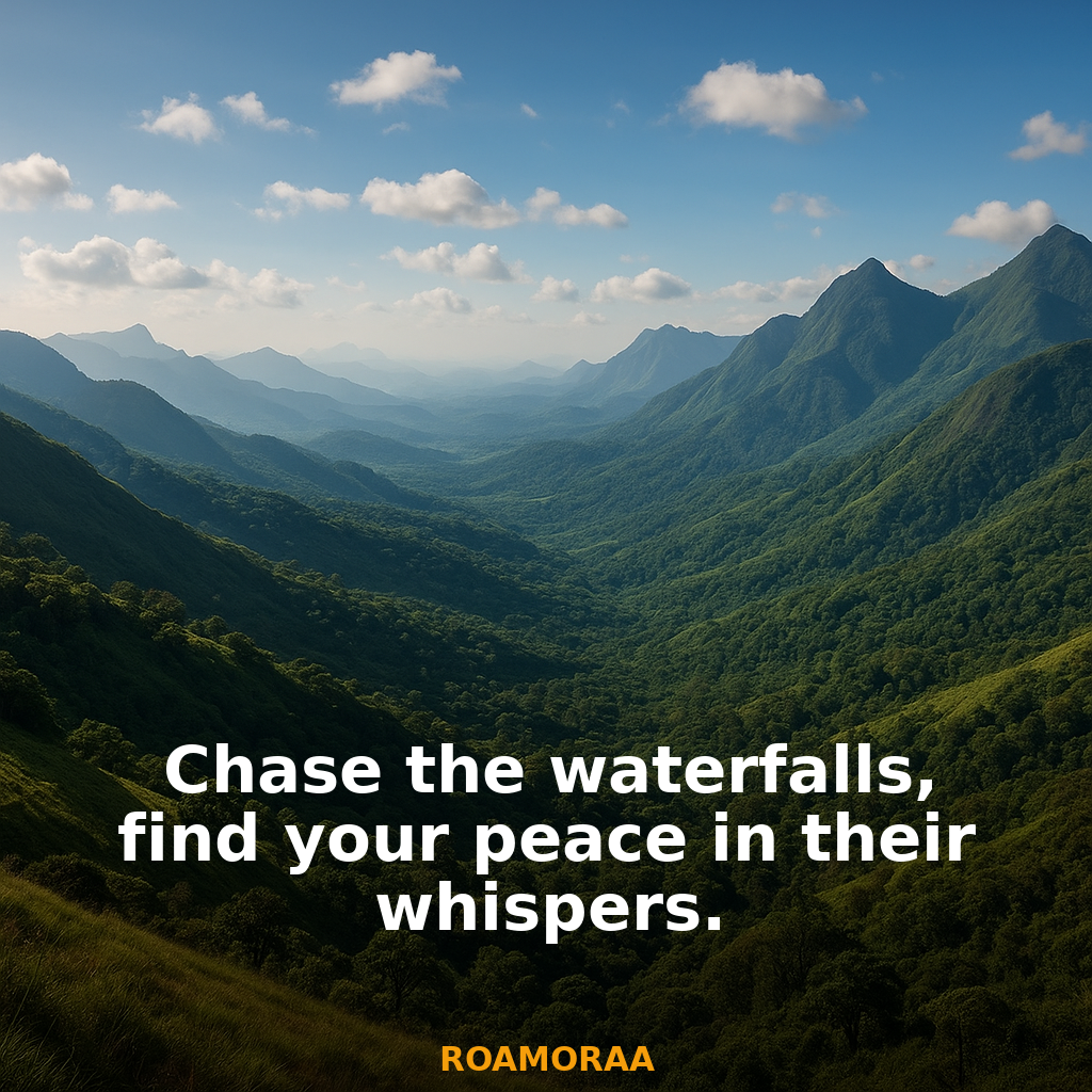 Quote