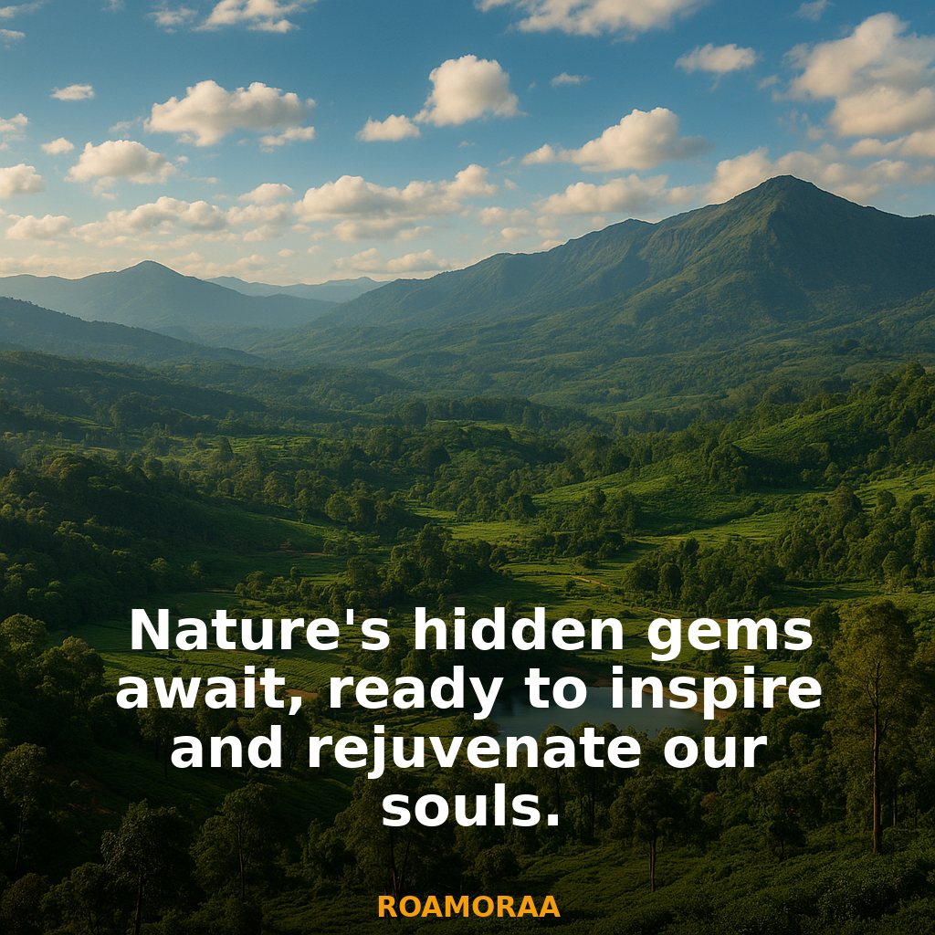 Quote