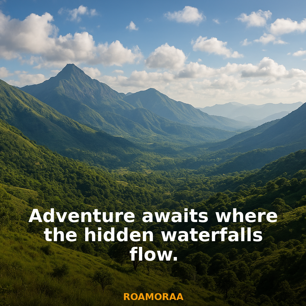 Quote