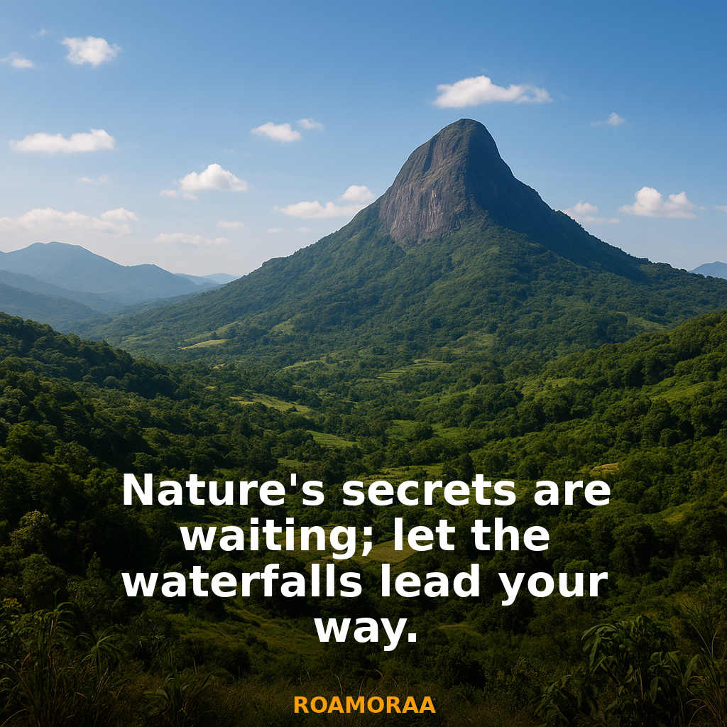Quote